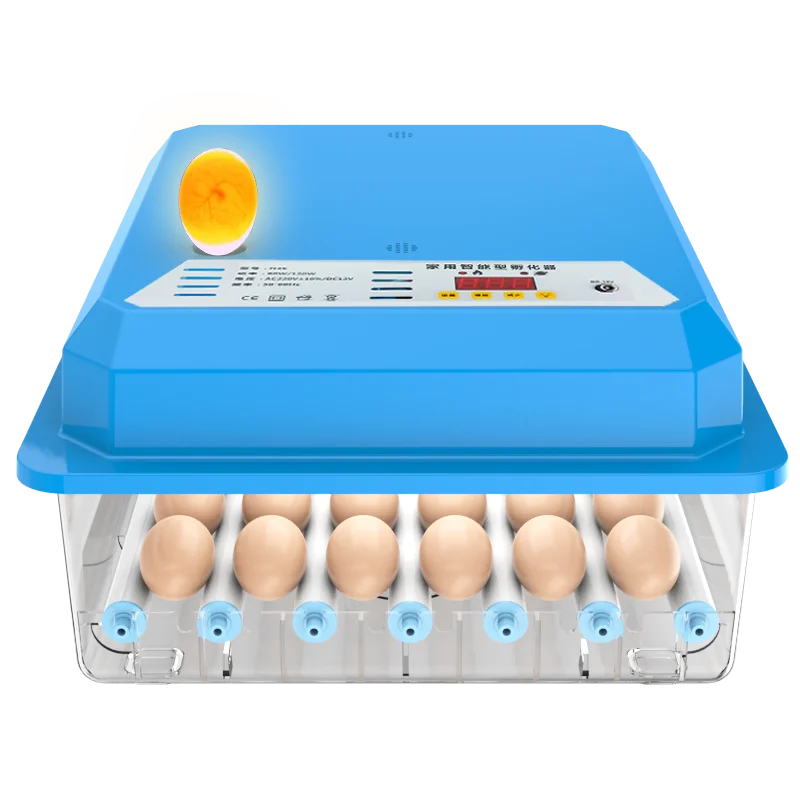 Couveuse Automatique 36 Œufs – Poule, Canard, Oie | Double Alimentation 110-220V/12V