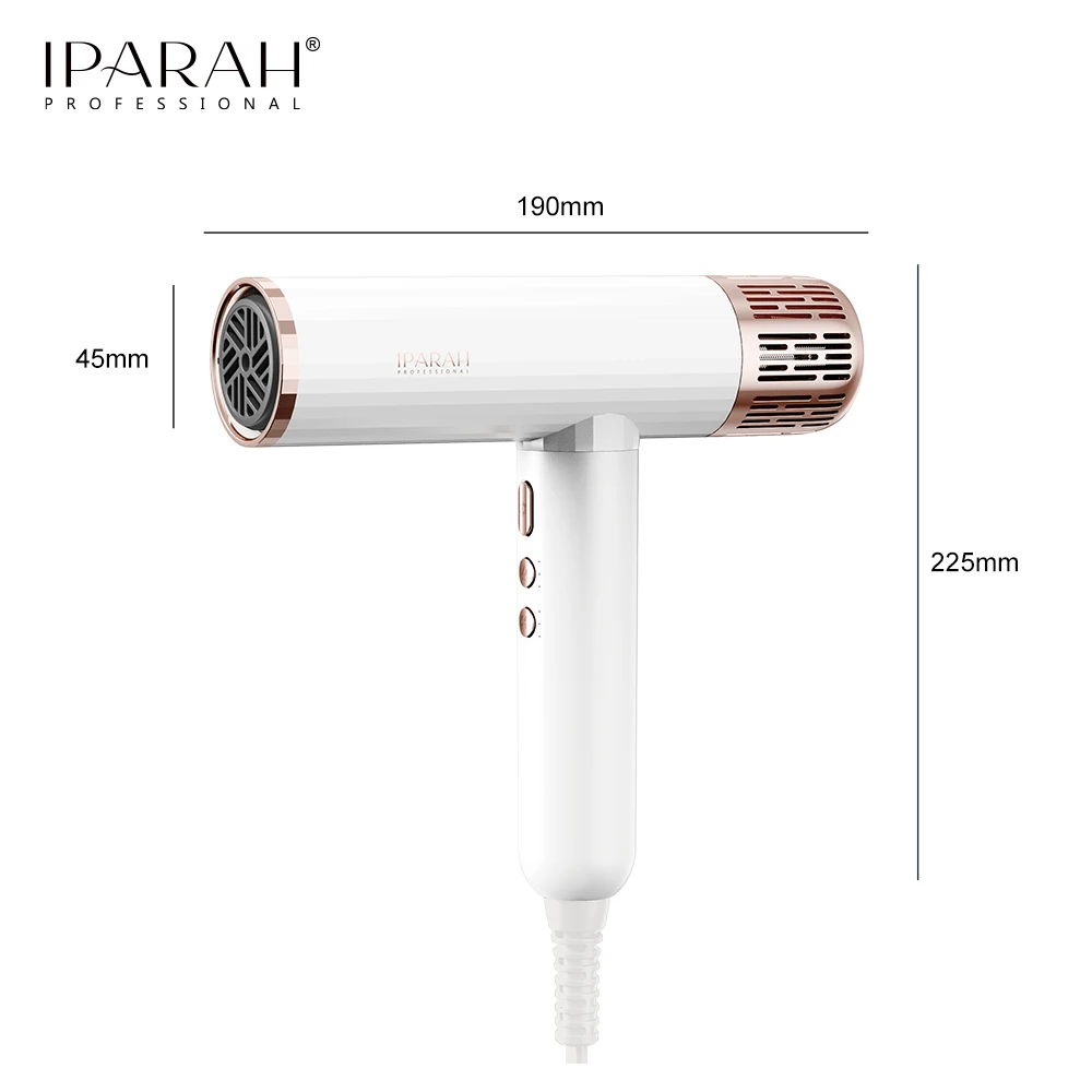 IPARAH P-385 Sèche-cheveux Professionnel BLDC 110 000 tr/min Ionique 1700W Salon & Maison