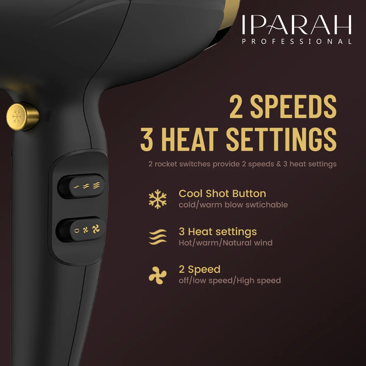 IPARAH P-340 Sèche-Cheveux Professionnel 2000-2400W pour Salon de Coiffure