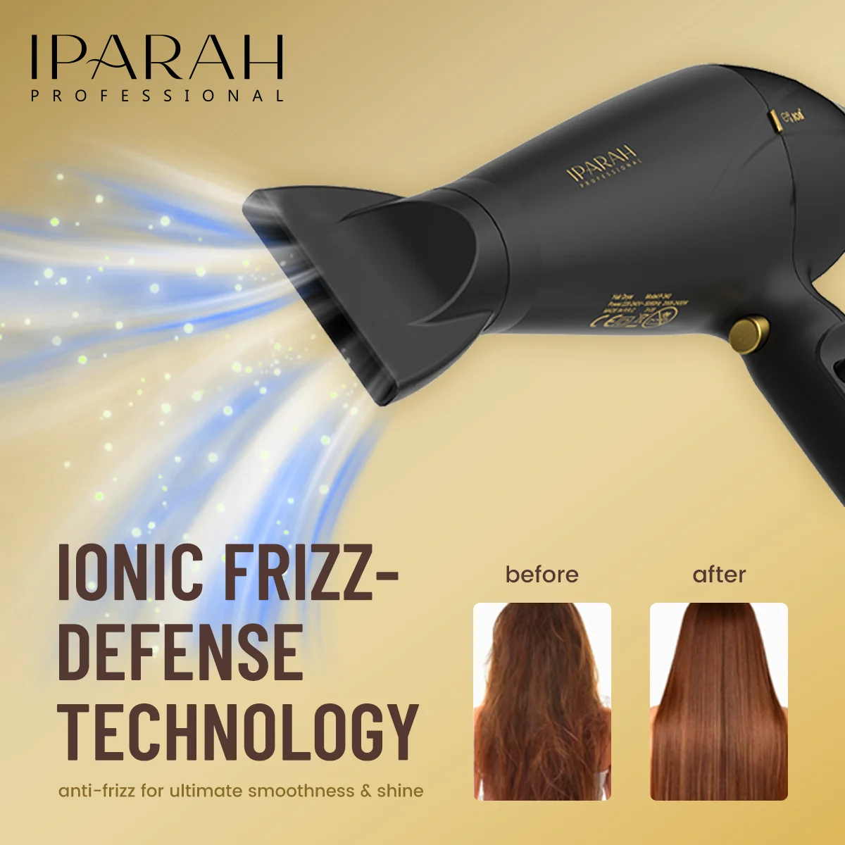 IPARAH P-340 Sèche-Cheveux Professionnel 2000-2400W pour Salon de Coiffure