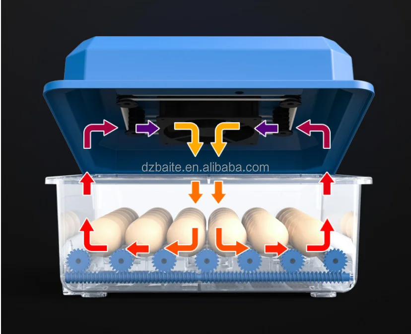 Incubateur Automatique 16 Œufs – Retournement Auto, Taux d'Éclosion +98%, Double Alimentation