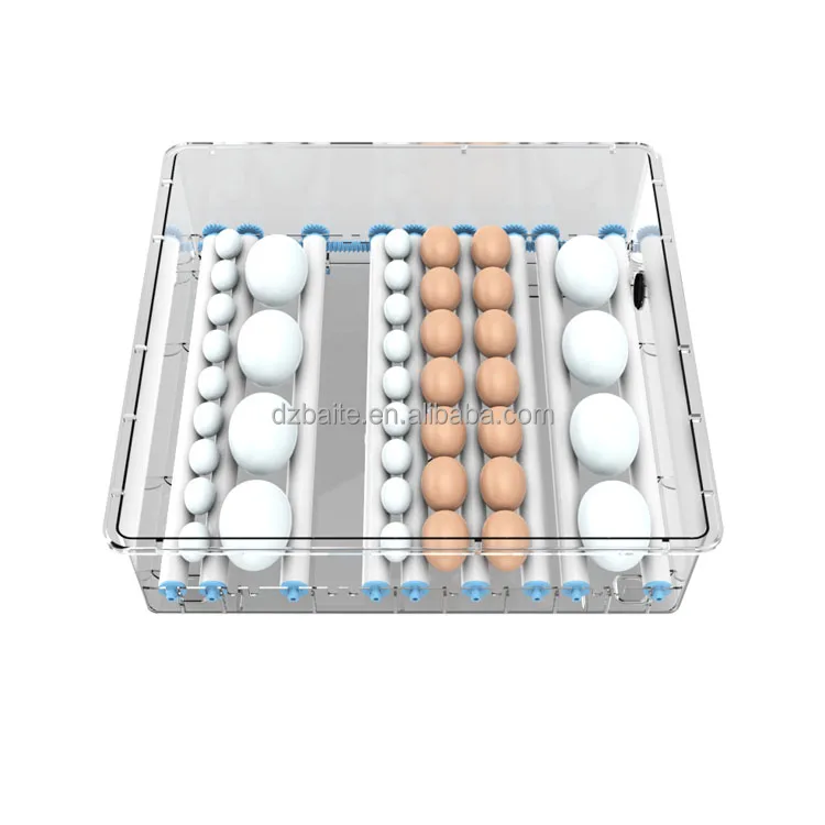 Incubateur d'œufs automatique 98 pcs – Double alimentation 12V/220V – Taux d'éclosion 98%