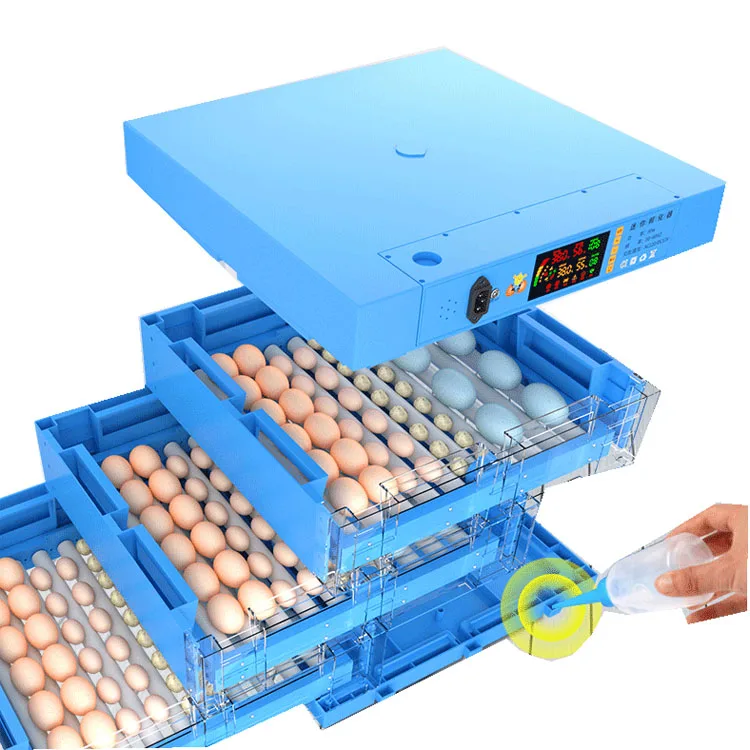 Incubateur d'Œufs Automatique 64 Œufs – Taux d'Éclosion 98% | Double Alimentation 110-220V/12V