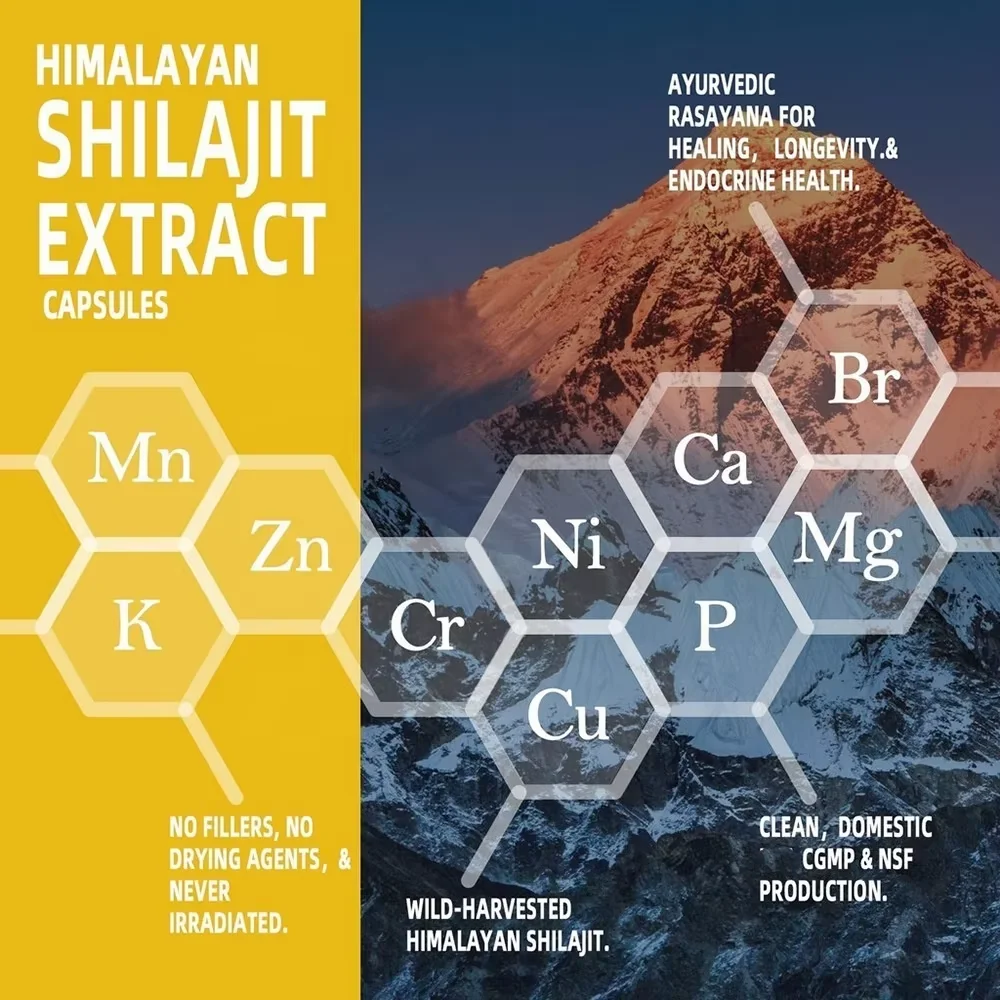 Capsules Shilajit Himalaya 8en1 15250mg – Énergie, Immunité & Vitalité | 60 Gélules