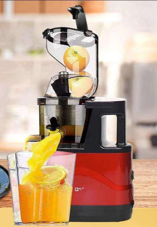 Extracteur de Jus Commercial Multifonction – Presse à Froid Canne à Sucre 9500W