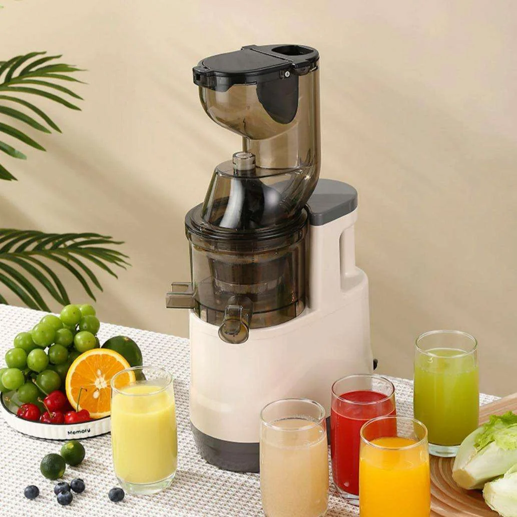 Extracteur de Jus Commercial Multifonction – Presse à Froid Canne à Sucre 9500W