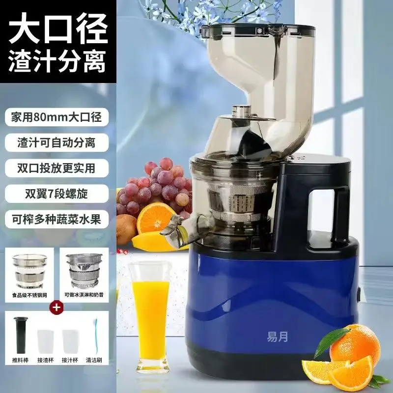 Extracteur de Jus Inox 800W – Séparation Pulpe, Usage Maison & Professionnel
