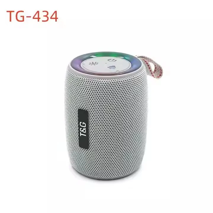 Enceinte Bluetooth Portable TG434 Mini Karaoké Rechargeable avec Micro Intégré