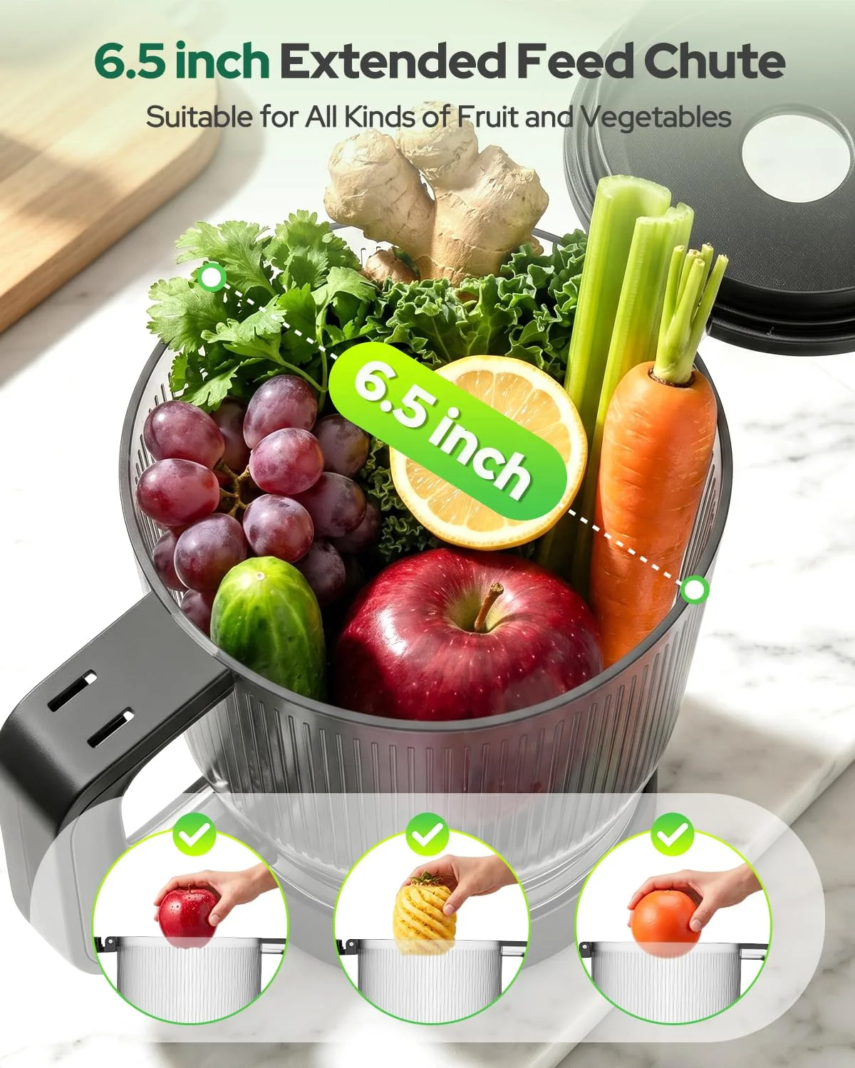 Extracteur de Jus Lent AMR 150W – Presse-Agrumes Silencieux Fruits & Légumes