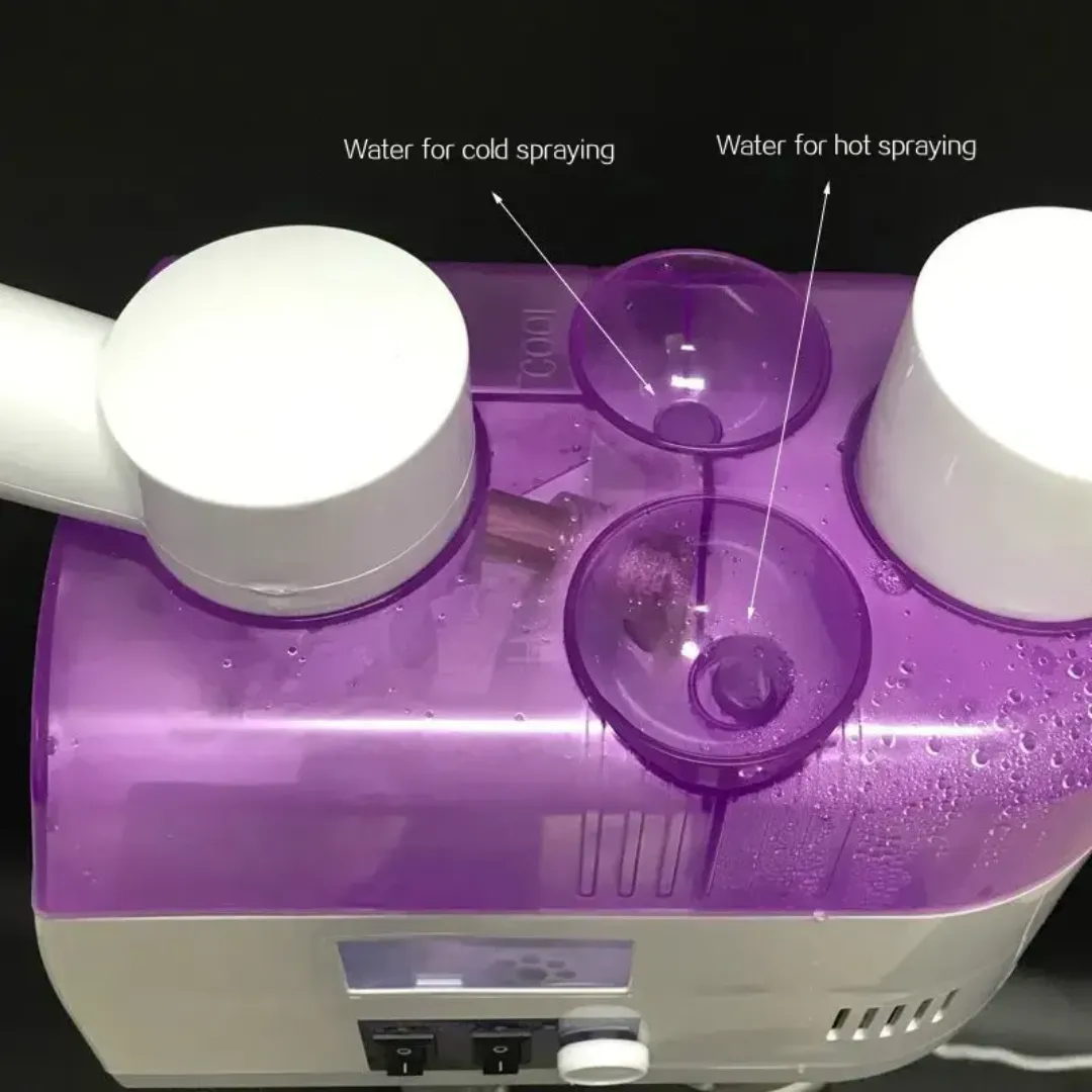 Vaporisateur Facial Professionnel à Vapeur Chaude Nano Ionique - Appareil de Soin du Visage pour Salon de Beauté