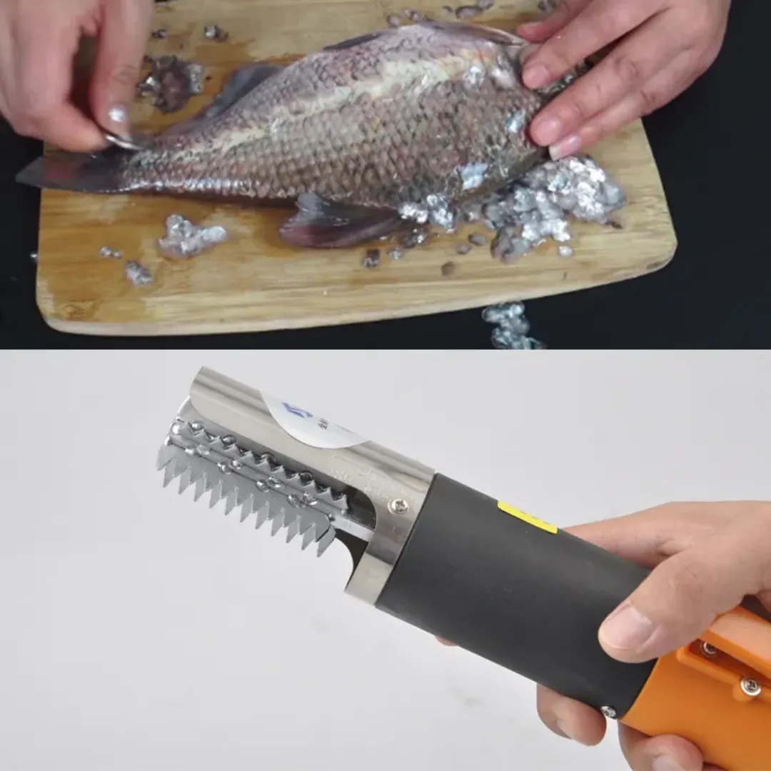 Écailleur Électrique Rechargeable 96W - Acier Inoxydable, Batterie 12V Lithium, Étanche et Portable