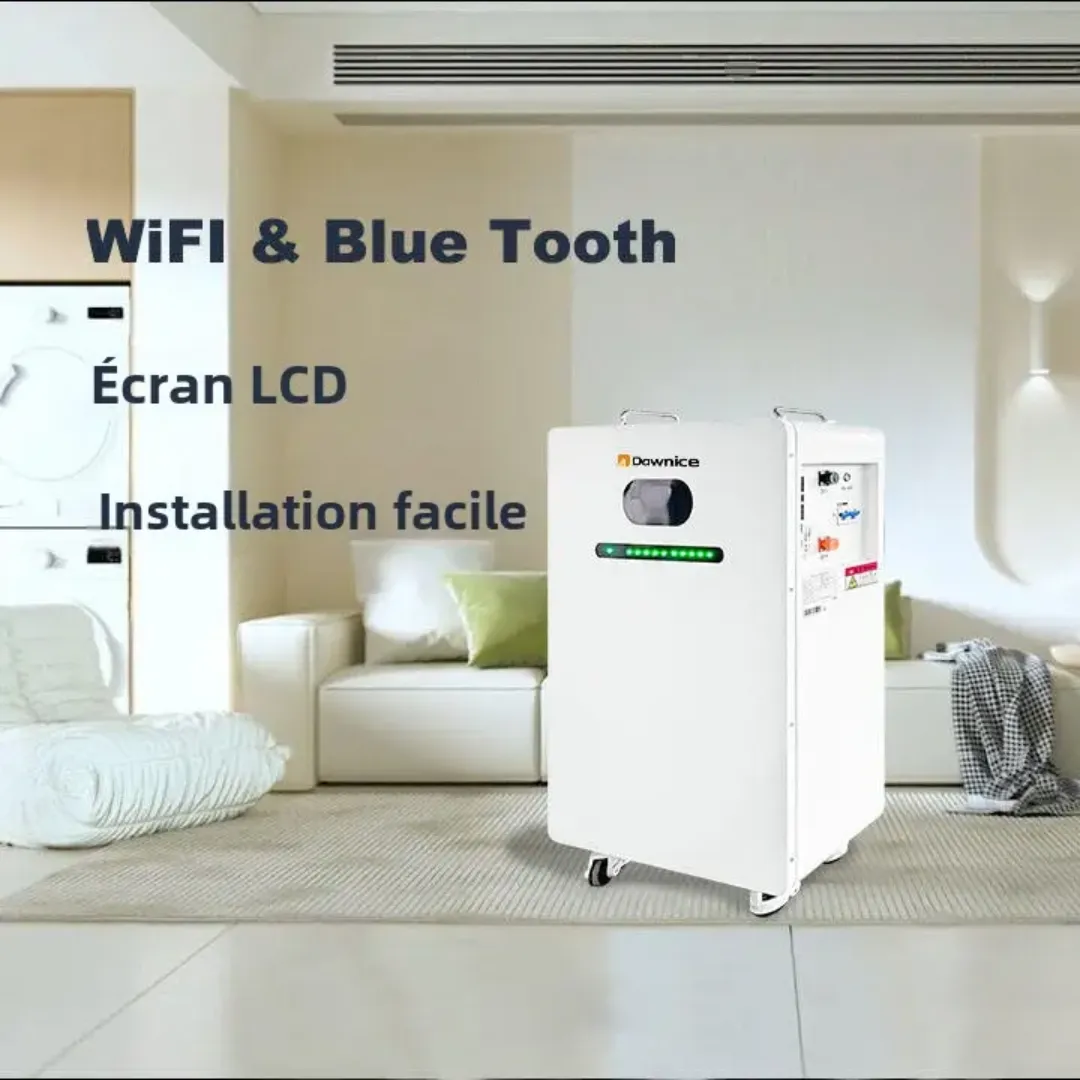 Batterie Mobile Haute Capacité 51.2V 410Ah (20.99kWh) - LiFePO4, Écran Tactile, WiFi, Bluetooth, Disjoncteur et Roulettes