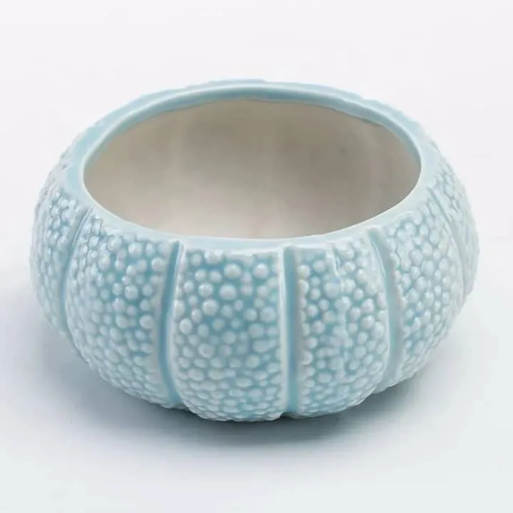 Pot Oursin Marin – Texture Réaliste