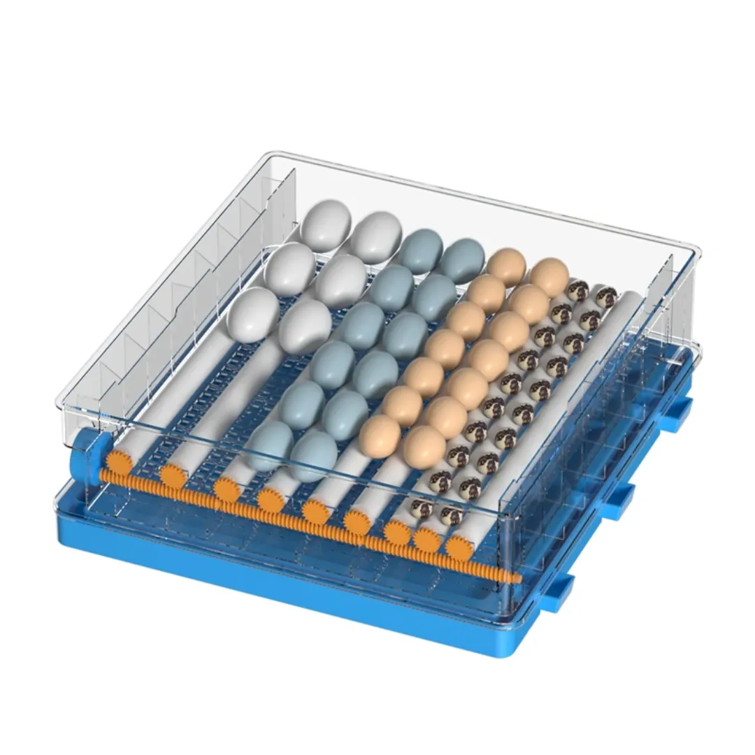 Couveuse Automatique 200 Œufs – Incubateur Digital AC/DC pour Volaille (64 à 192 Œufs)