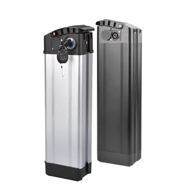 Batterie Lithium 48V 20Ah – Haute Capacité pour Vélo Électrique, Trottinette ou Scooter