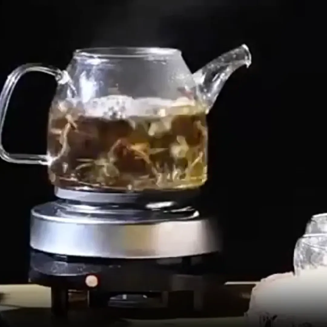 Plaque Chauffante Électrique Portable 1 Feu – Chauffage Rapide pour Café, Thé et Cuisson Simple