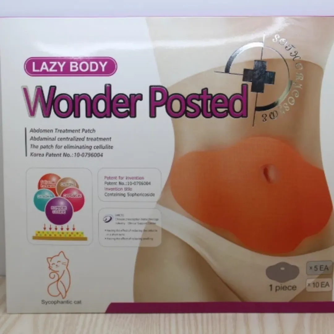 10 Pièces/boîte Patch Minceur Rapide Ventre