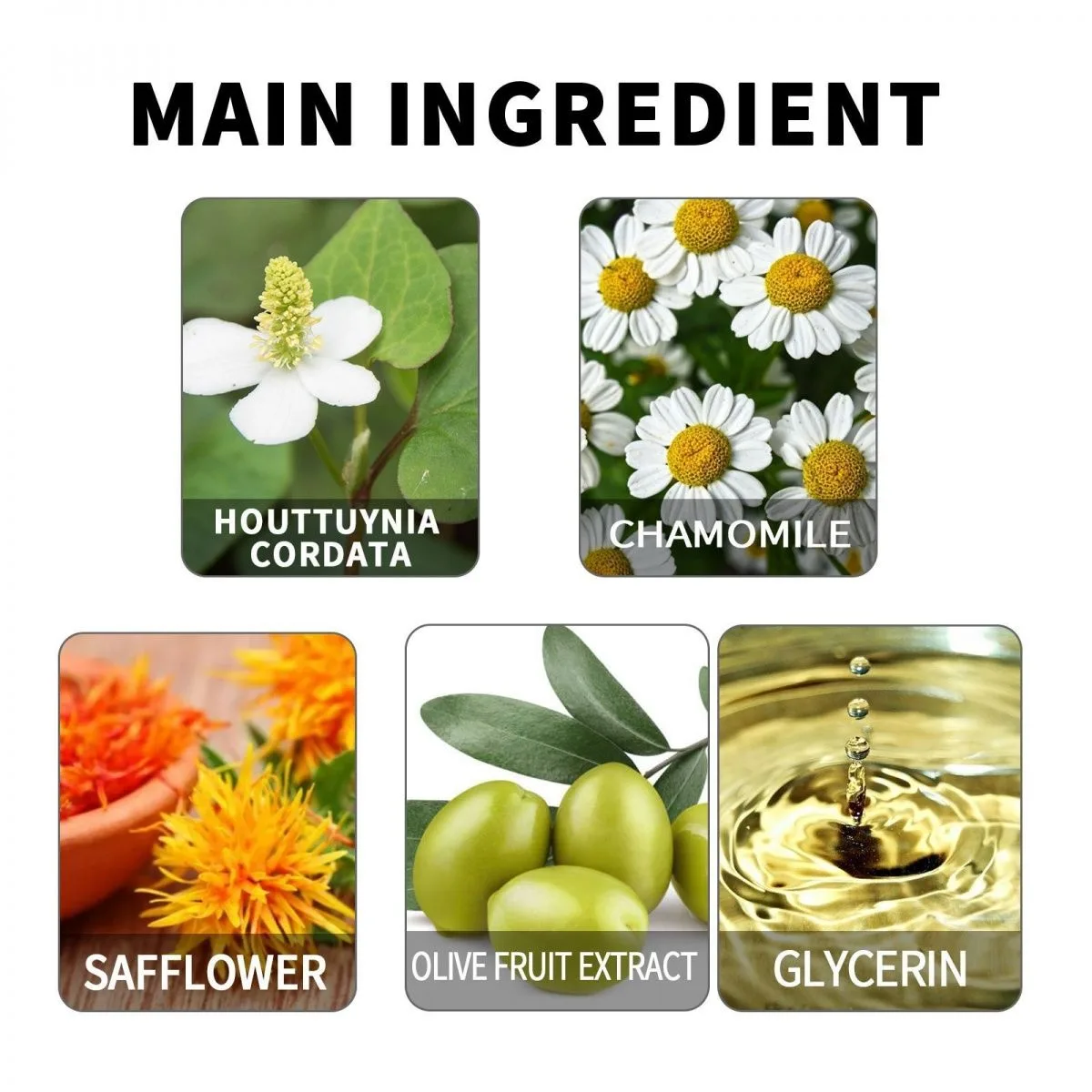 Lot de 5 pièces de Roller massage pour les yeux EELHOE - Vision Enhancement Roller